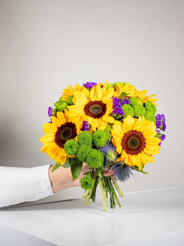 Bouquet di girasoli santini verdi statice viola in mano